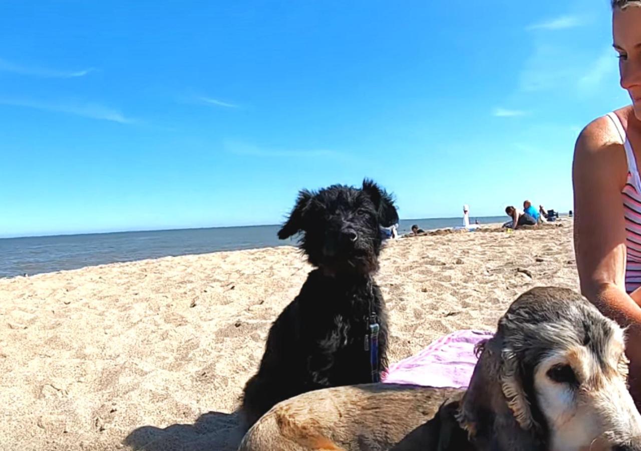 Romantic Lakeside Cottage By The Beach! With Super Cosy Log Burner! The Perfect Escape To Your Home From Home By The Sea! So Relaxing - You Won'T Want To Leave! Pet Friendly! Mablethorpe Extérieur photo