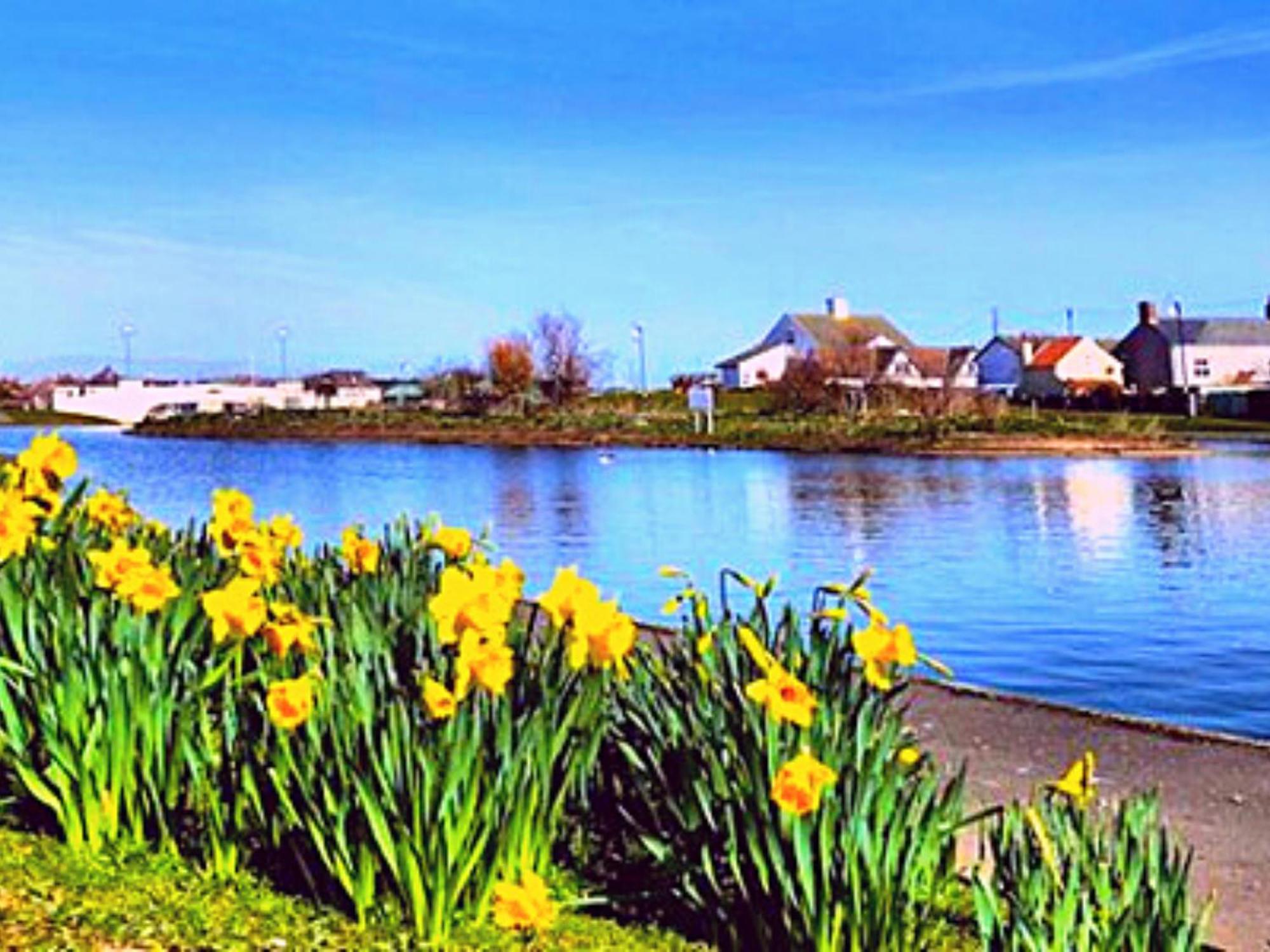 Romantic Lakeside Cottage By The Beach! With Super Cosy Log Burner! The Perfect Escape To Your Home From Home By The Sea! So Relaxing - You Won'T Want To Leave! Pet Friendly! Mablethorpe Extérieur photo